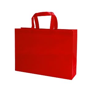 16X12X4 Non-Woven Tote Bag