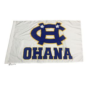 3' x 5' Single-Sided Polyester Flag