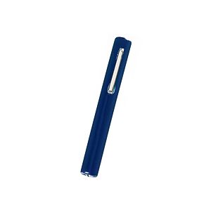 Prestige Medical - Disposable Pen Light