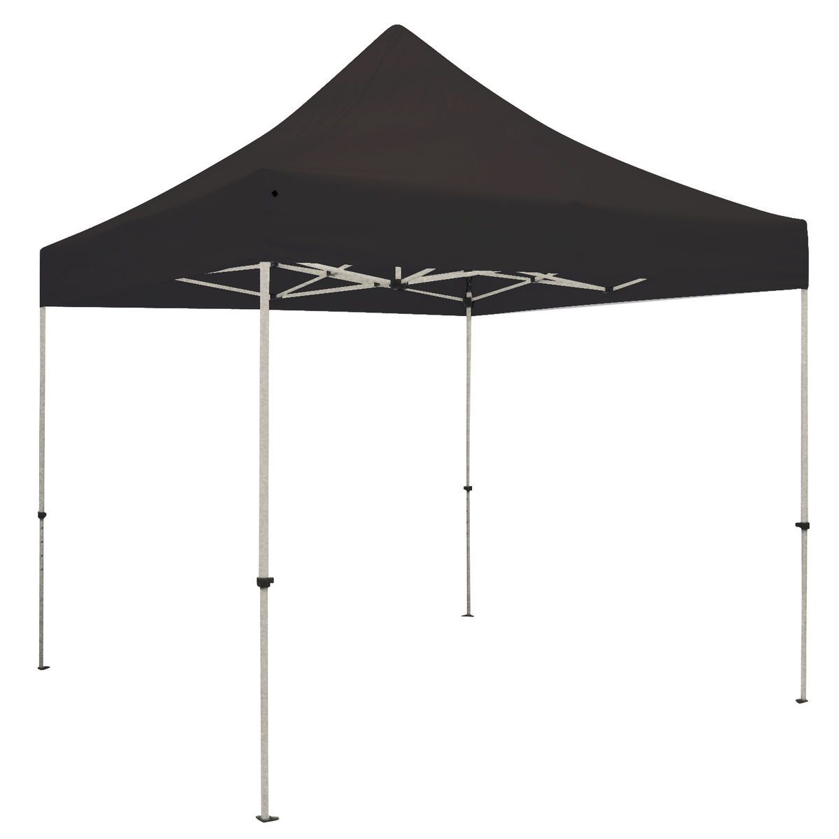10' Standard Tent Kit (Full-Color Imprint, 2 Locations)