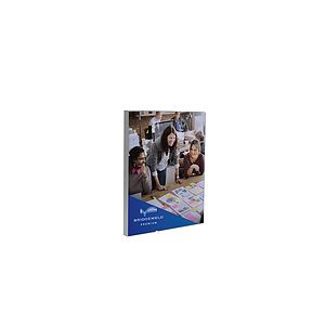 16" x 20" Value SEG Wall Mount Kit