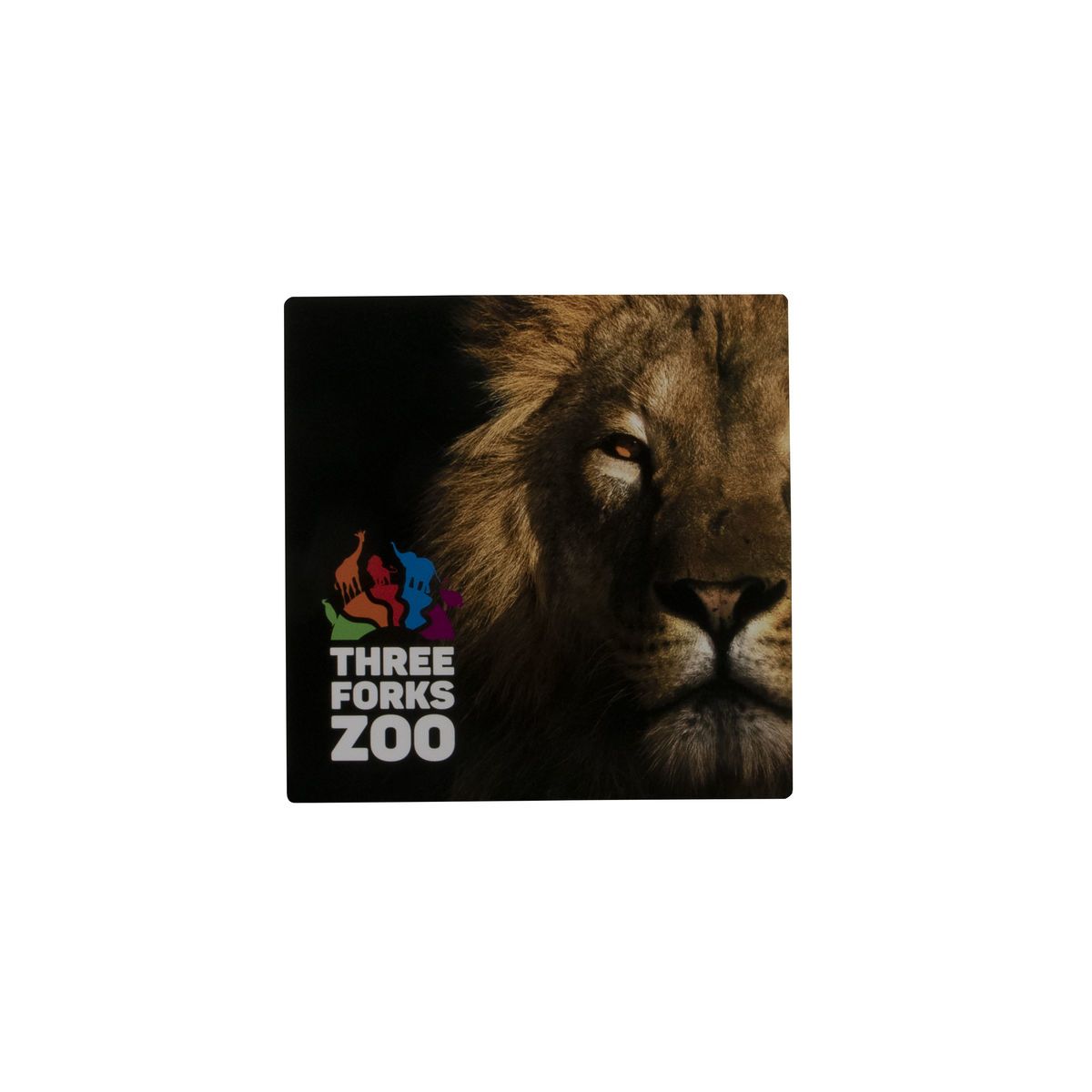 8"W X 8"H Glossy Aluminum Print