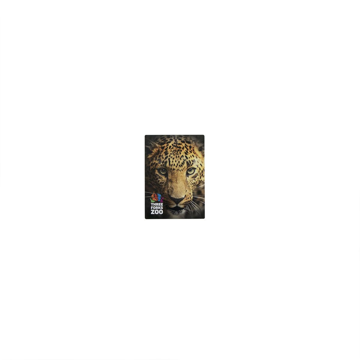5"W X 7"H Glossy Aluminum Print with Shadow Mount