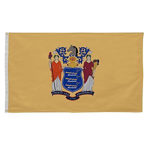 3' x 5' State Flag
