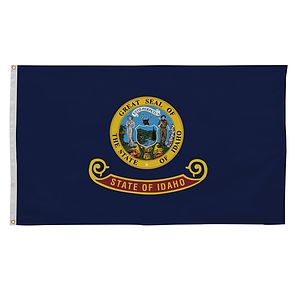 3' x 5' State Flag