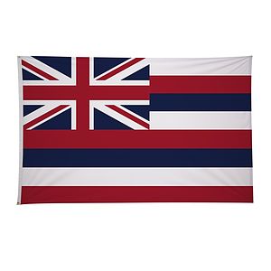 5' x 8' State Flag
