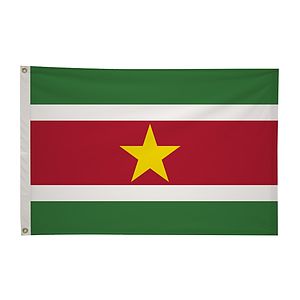 2' x 3'International Flag