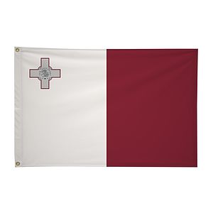 2' x 3'International Flag