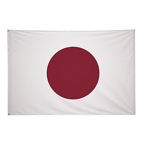 4' x 6' International Flag