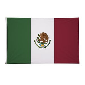 5' x 8' International Flag
