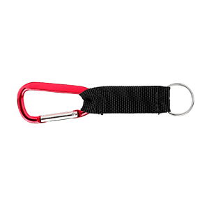 Moab Carabiner and Key Ring