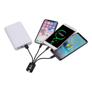 Elk Grove 4 in1 Charging Cables with USB Tip