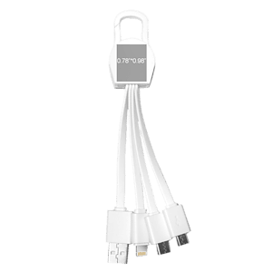 Leyden 4 in1 Charging Cables w/ USB tip