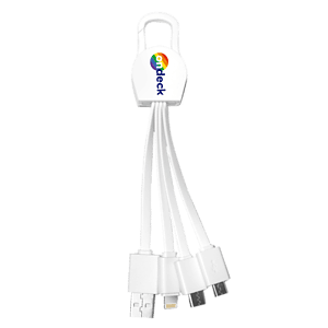 Leyden 4 in1 Charging Cables w/ USB tip