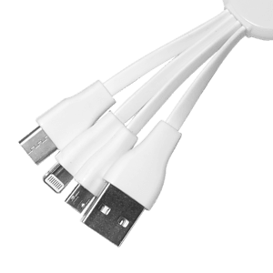 Burnside 4-in-1 Charging Cable
