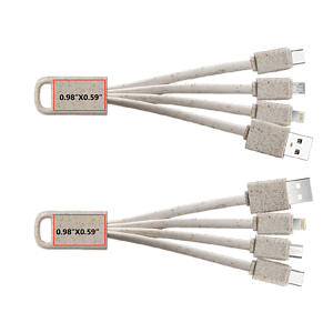 Swain Eco-Friendly 4-in-1 Charging Cable
