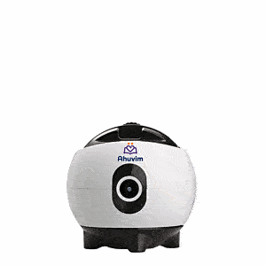 Eberhart Selfie Bot