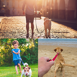 Pongo Leash with Collar Hook