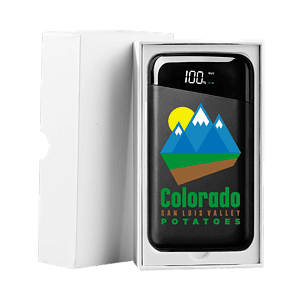 Richmond 10,000mAh Wireless Power Bank