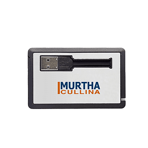 Wenmoth Pull Out USB Card