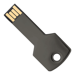 Berwyn Key Shape USB Flash Drive