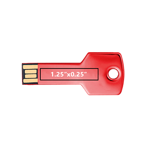 Berwyn Key Shape USB Flash Drive - Simports