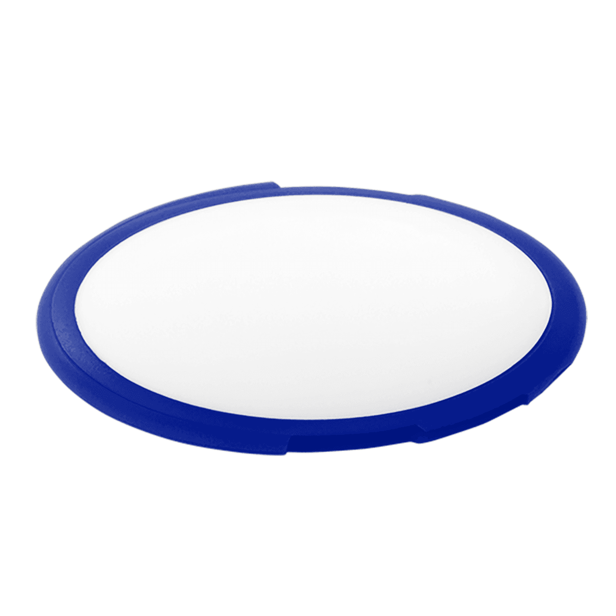 Wedron Oval Swivel Dome USB