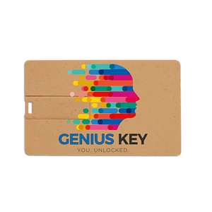 Broadview Eco-Friendly Card USB