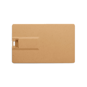 Broadview Eco-Friendly Card USB