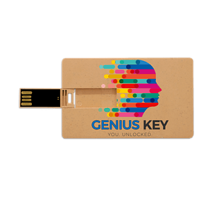 Broadview Eco-Friendly Card USB