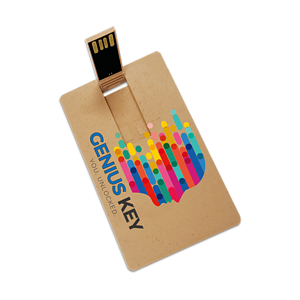 Broadview Eco-Friendly Card USB