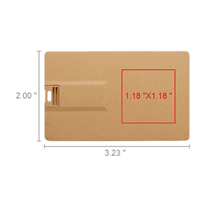 Broadview Eco-Friendly Card USB