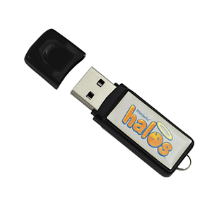 Afton Domed USB