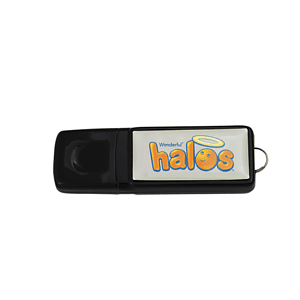 Afton Domed USB