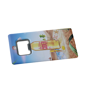 Oswego Bottle Opener Shape USB