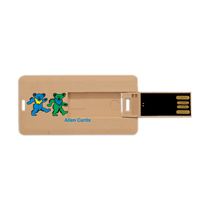 Franklin Eco-Friendly Mini Swivel Card USB