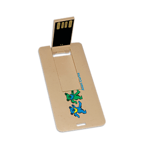 Franklin Eco-Friendly Mini Swivel Card USB