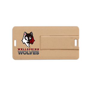 Franklin Eco-Friendly Mini Swivel Card USB