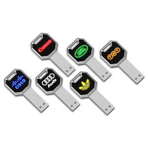 Edison Park Light-Up KEY USB Flash Drive