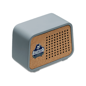 Cab Eco-Friendly Speaker and Wireless Charger