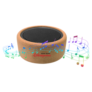 Cork Eco-Friendly Wireless Speaker