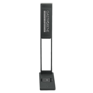 Poe 10W Foldable Wireless Charger and Lamp