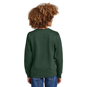 District Youth V.I.T. Fleece Crew DT6104Y