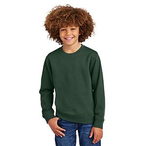 District Youth V.I.T. Fleece Crew DT6104Y