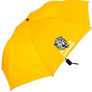 Manual Open Folding Umbrella