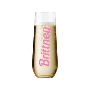 Acrylic Champagne Flute