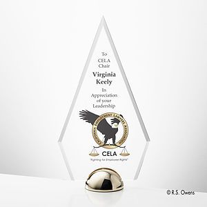 Apex Hemisphere VividPrint™ Award