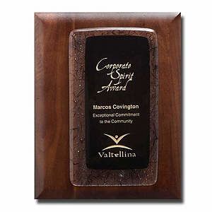 Fusion Plaque - Ebony