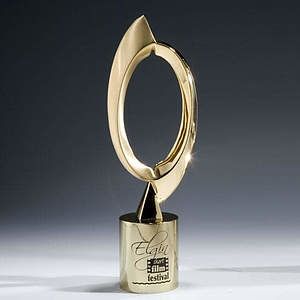 Synergy Award