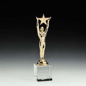 Star Achievement Award on Optical